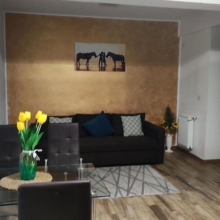 부쿠레슈티 Apartament Lenus'K 아파트 외부 사진