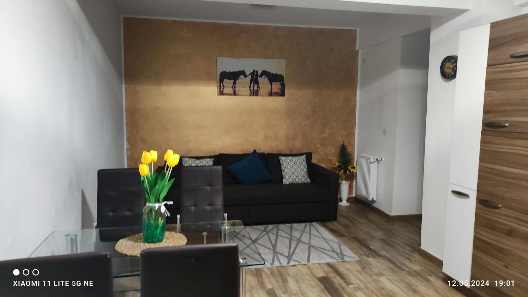 부쿠레슈티 Apartament Lenus'K 아파트 외부 사진