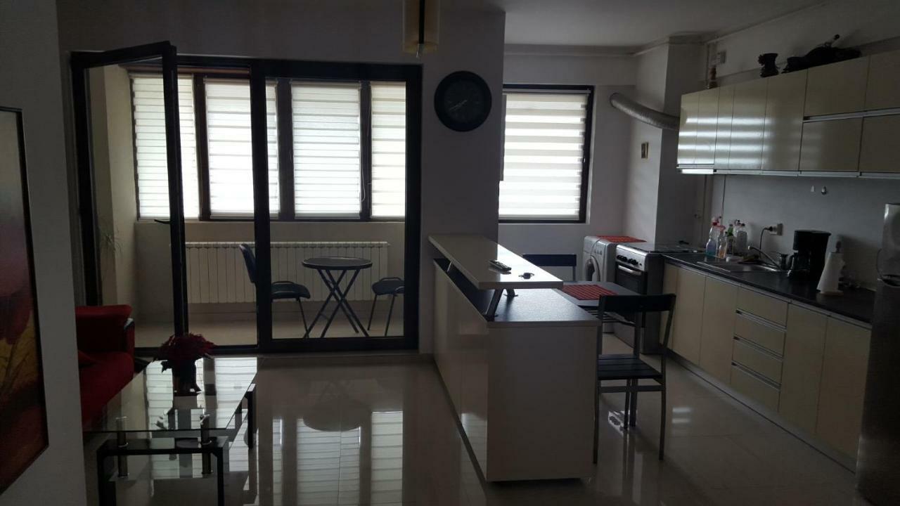 부쿠레슈티 Apartament Lenus'K 아파트 외부 사진